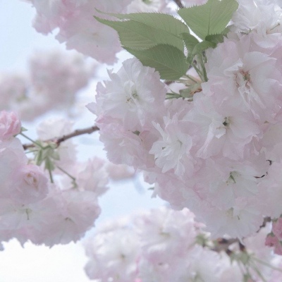 Furry绘画构图技巧兽圈社群